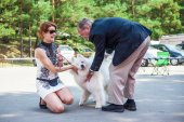 Samoyed days-páteční výstava