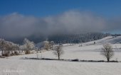 Krajina