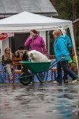 Samoyedská miniolympiáda