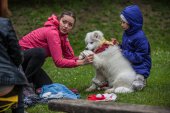 Samoyedská miniolympiáda
