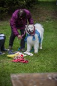 Samoyedská miniolympiáda