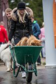 Samoyedská miniolympiáda
