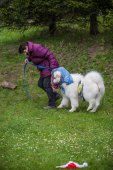 Samoyedská miniolympiáda