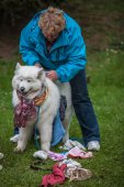 Samoyedská miniolympiáda