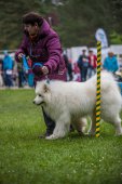 Samoyedská miniolympiáda