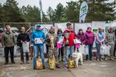 Samoyedská miniolympiáda