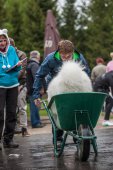 Samoyedská miniolympiáda