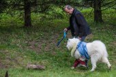 Samoyedská miniolympiáda