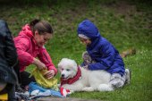 Samoyedská miniolympiáda