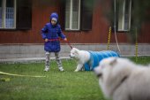 Samoyedská miniolympiáda