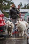 Samoyedská miniolympiáda
