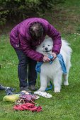 Samoyedská miniolympiáda