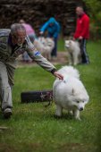 Samoyedská miniolympiáda