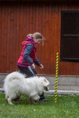 Samoyedská miniolympiáda