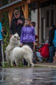 Samoyedská miniolympiáda