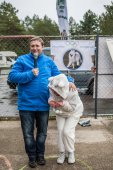 Samoyedská miniolympiáda
