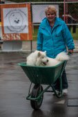 Samoyedská miniolympiáda