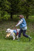 Samoyedská miniolympiáda