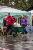 Samoyedská miniolympiáda