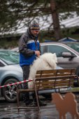Samoyedská miniolympiáda
