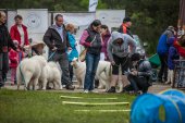 Samoyedská miniolympiáda