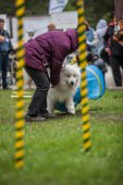 Samoyedská miniolympiáda
