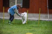 Samoyedská miniolympiáda