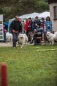 Samoyedská miniolympiáda