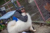 Samoyedská miniolympiáda