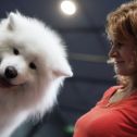 Mezinárodní výstava psů Expo dog