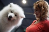 Mezinárodní výstava psů Expo dog