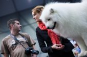 Mezinárodní výstava psů Expo dog