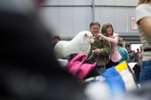 Mezinárodní výstava psů Expo dog