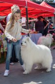 Samojedí dny 