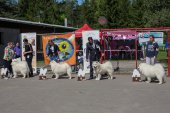 Samojedí dny 