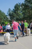 Samojedí dny 