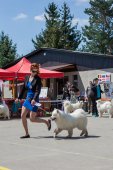 Samojedí dny 