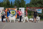 Samojedí dny 