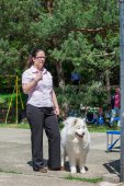 Samojedí dny 