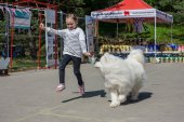 Samojedí dny 