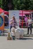 Samojedí dny 