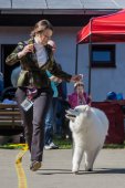 Samojedí dny 