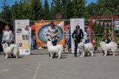 Samojedí dny 