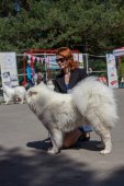 Samojedí dny 