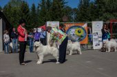Samojedí dny 