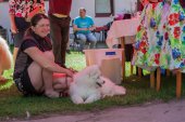 Samojedí dny 