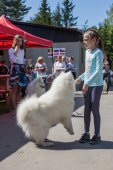 Samojedí dny 