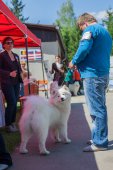 Samojedí dny 