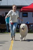 Samojedí dny 