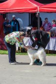 Samojedí dny 